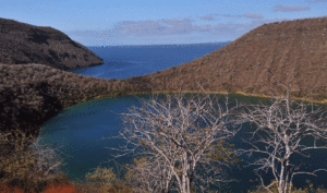 Galapagos Islands Darwin Lake Biotrek Adventure Travel Tours