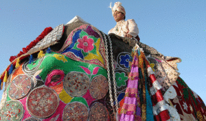 India painted elephant temple Biotrek Adventure Travel Tours