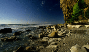 New Zealand beach coast shore Biotrek Adventure Travel Tours