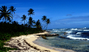 Nicaragua Pacific Ocean beach Biotrek Adventure Travel Tours
