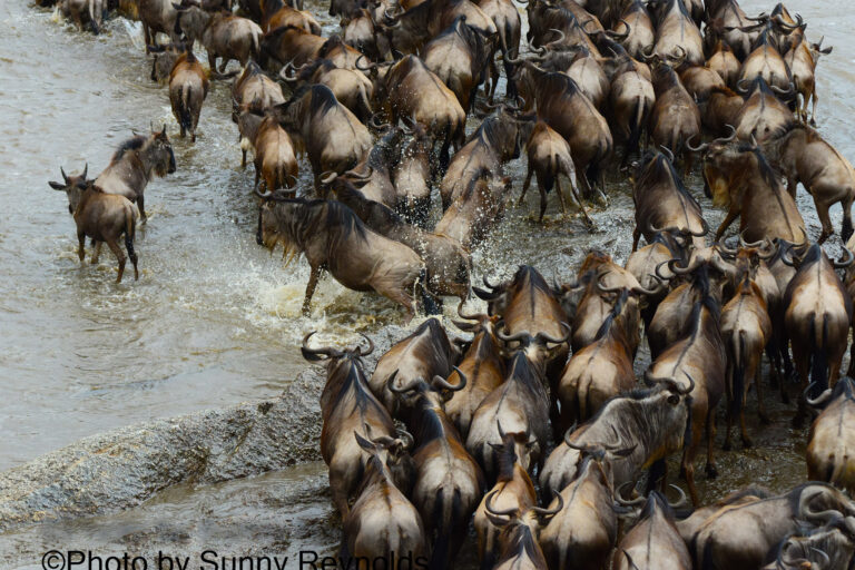 Crossing DSC_4204 Alyssa