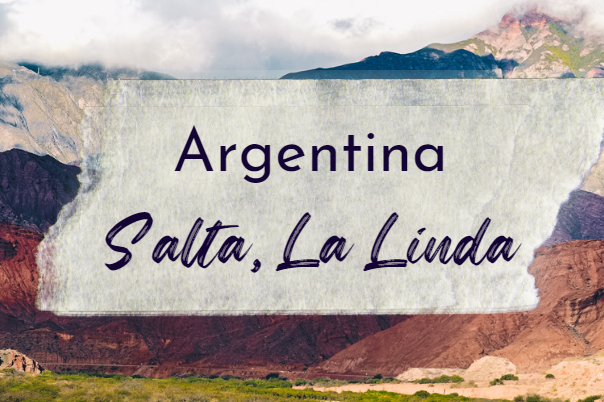 Screenshot 2023-06-06 130541