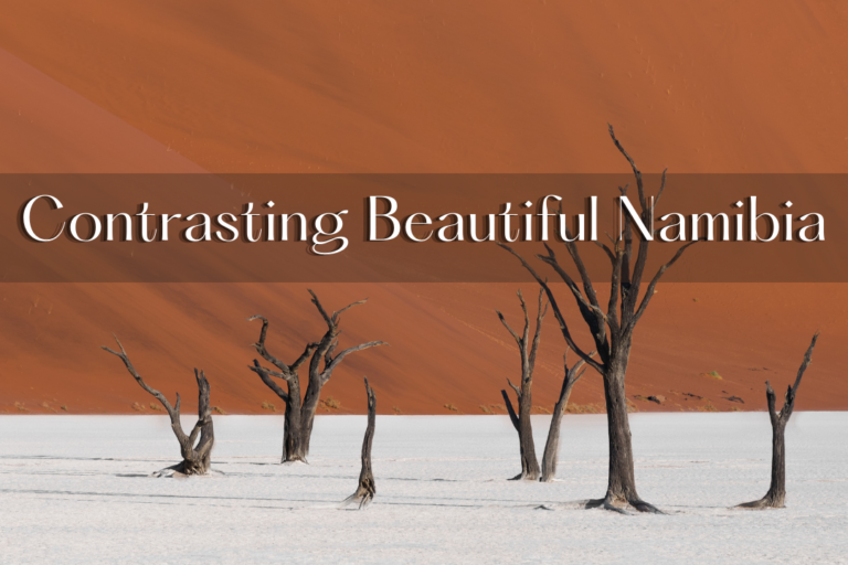 Untitled design (21)