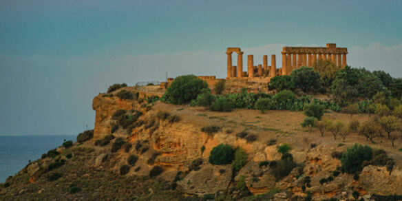 20221001-_1000819-Edit