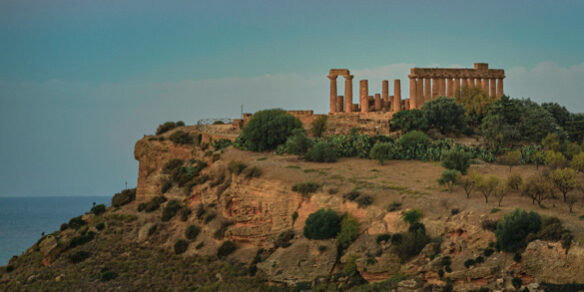 20221001-_1000819-Edit